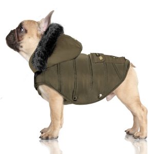 Designer Dog Coats